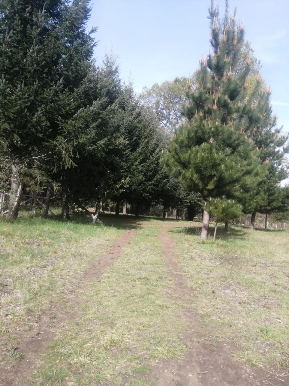 Cabana May Pao, Para 3 En Melipeuco Cerca Del Parque Nacional Conguillio Exterior photo