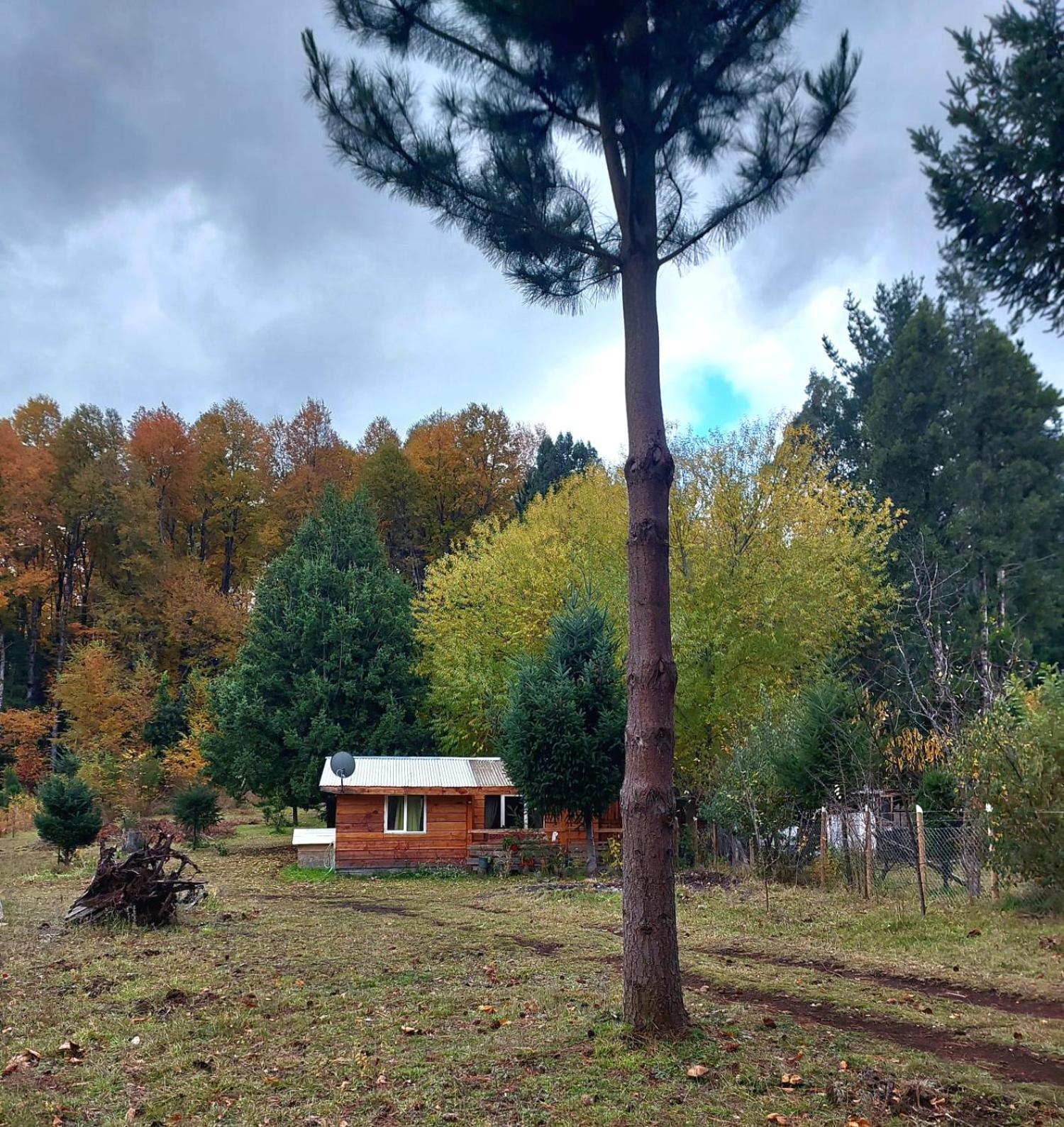 Cabana May Pao, Para 3 En Melipeuco Cerca Del Parque Nacional Conguillio Exterior photo